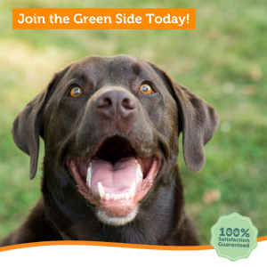 Join the Green Side Today!