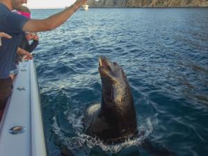 Your travel bucket list 