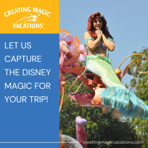 Let us capture the Disney magic! 