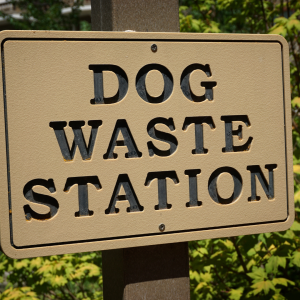 Strategic placement of pet waste stations