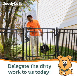 Delegate the dirty work to us today!