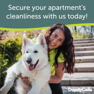 Secure your apartment's cleanliness with us