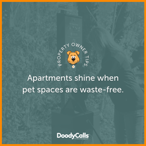 Apartments shine when pet spaces are waste-free