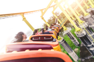 Plan your must-do rides! 