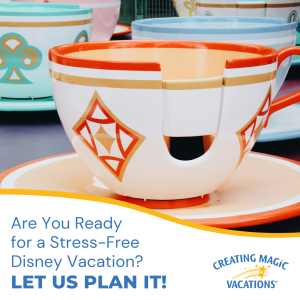 Let us take the stress out of planning a Disney trip! 