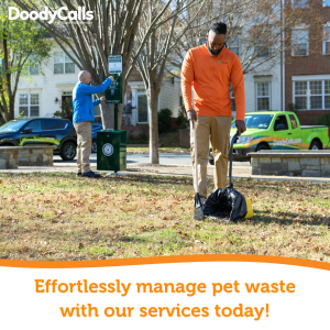 Effortlessly manage pet waste with our services today!