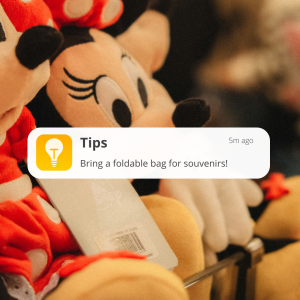 Bring a foldable bag for souvenirs! 