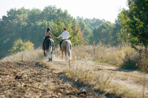 Have you always dreamed of a getaway on the open range? 