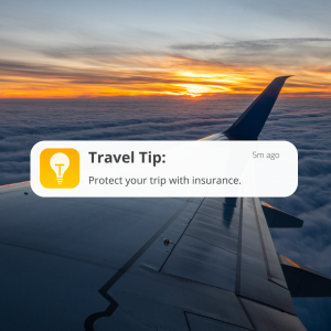 Make sure you get travel insurance!