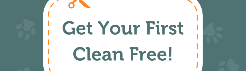 _DNU - DoodyCalls Ads Franchise Content CANVA