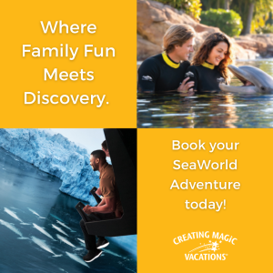 Turn learning into an unforgettable family adventure! 