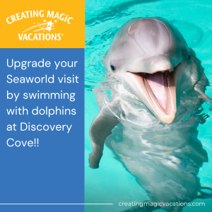 Make Your Orlando Vacation Unforgettable!