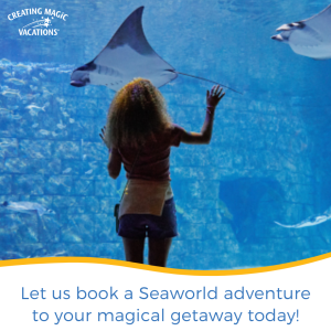 Make Your Disney Vacation Even More Magical! 