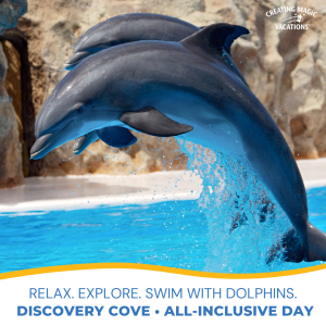 Visit Discovery Cove