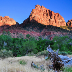 DNU - McNeil Engineering