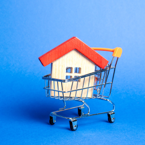 Social5 Photos - 2026-02-25T193831.146