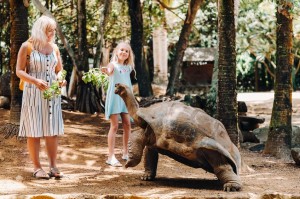 Book a trip your family will always remember