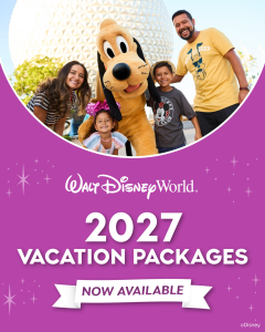 Your 2027 Disney countdown starts now